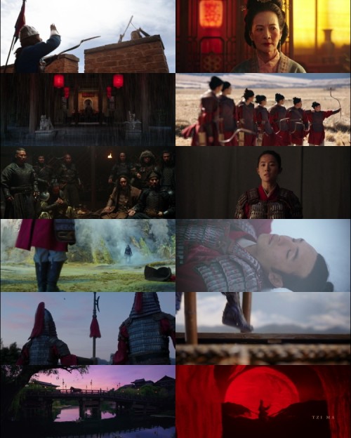 Mulan.2020.1080p.BluRay.Hindi.English.DD.5.1.x264.ESubs_s.jpg