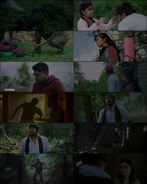 www.FiberMovies.com---Pechi.2024.1080p.WEB.HDRip.Hindi.Dual.DD.2.0.x264.ESubs_s.jpg