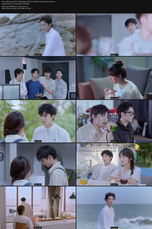 Since.I.Met.You.S01E01.1080p.AMZN.WEB-DL.DDP2.0.H.264-ExtraFlix.Pw.jpg