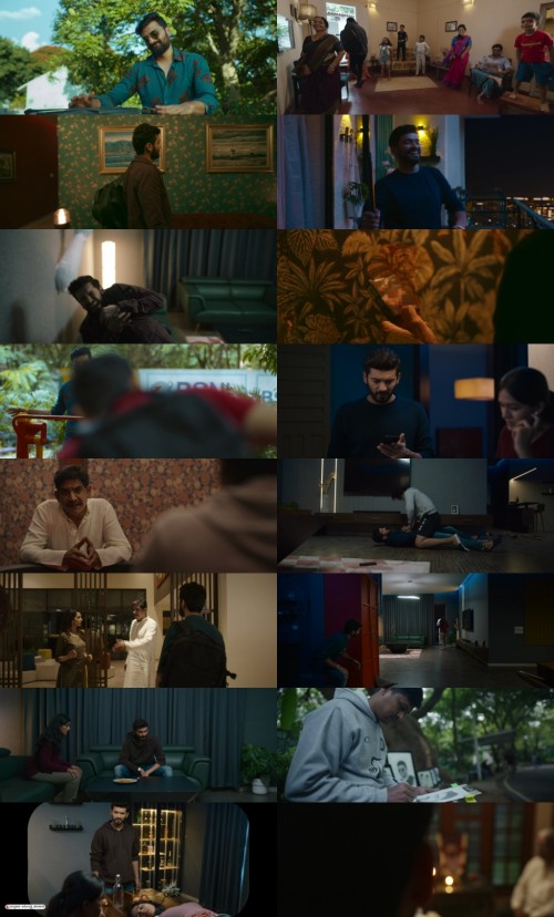 Edagaiye-Apaghatakke-Karana-2025-Hindi-Dual-Audio-www.ExtraFlix.pw-1080p-HDRip-x264-ESubs-Untouched_s.jpg
