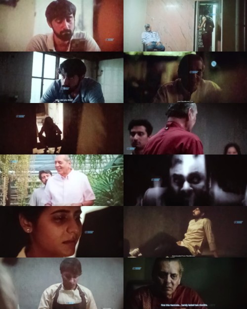 www.FiberMovies.com---Rasa.2025.720p.HDTS.Hindi.DD.2.0.x264_s.jpg