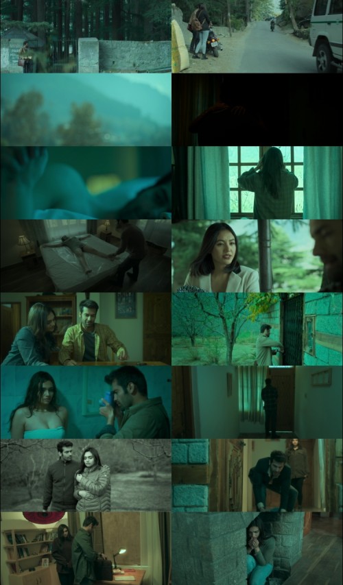 A-Stranger-by-the-Hill-2024-Hindi-www.ExtraFlix.pw-1080p-HDRip-x264-ESubs-Untouched_s.jpg