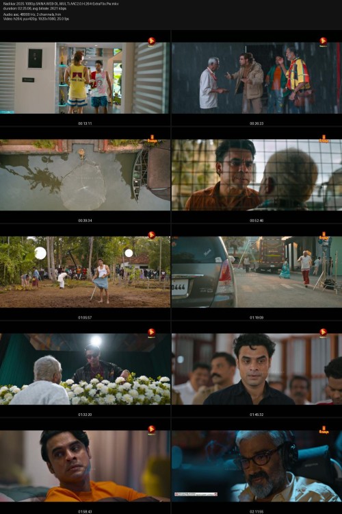 Nadikar.2025.1080p.SAINA.WEB-DL.MULTi.AAC2.0.H.264-ExtraFlix.Pw.jpg