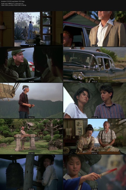 The-Karate-Kid-Part-II-1986-1080p-BluRay-Hindi-DDP2.0-English-DDP5.1-H.264-ESubs-ExtraFlix.Pw.jpg
