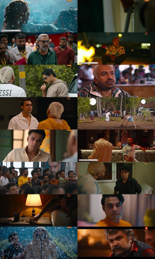 www.FiberMovies.com---Nadikar.2024.UnCut.1080p.WEB.HDRip.Hindi.Dual.DD.2.0.x264.ESubs_s.jpg
