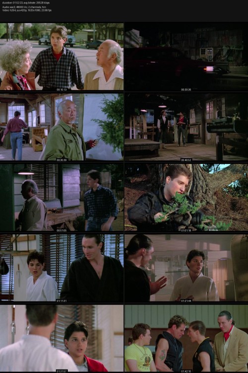 The-Karate-Kid-Part-III-1989-1080p-BluRay-Remux-Hindi-DDP2.0-English-TrueHD-Atmos-7.1-H.264-ESubs-ExtraFlix.Pw.jpg