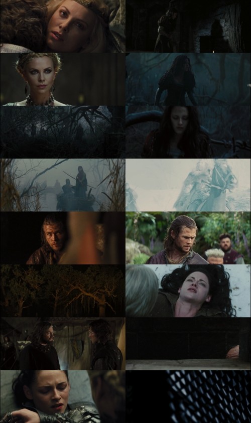 Snow.White.and.the.Huntsman.2012.1080p.BluRay.Hindi.English.DD.5.1.x264.ESubs_s.jpg