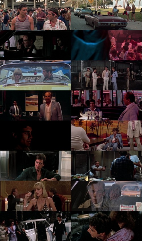 Scarface.1983.1080p.BluRay.Hindi.English.DD.5.1.x264.ESubs_s.jpg