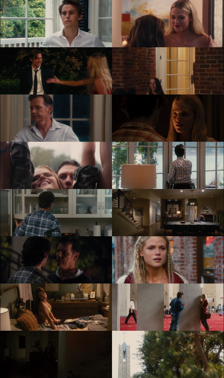 Endless Love (2014) BluRay Dual Audio [Hindi DD5.1 & English] 1080p 720p 480p x264 HD | Full Movie