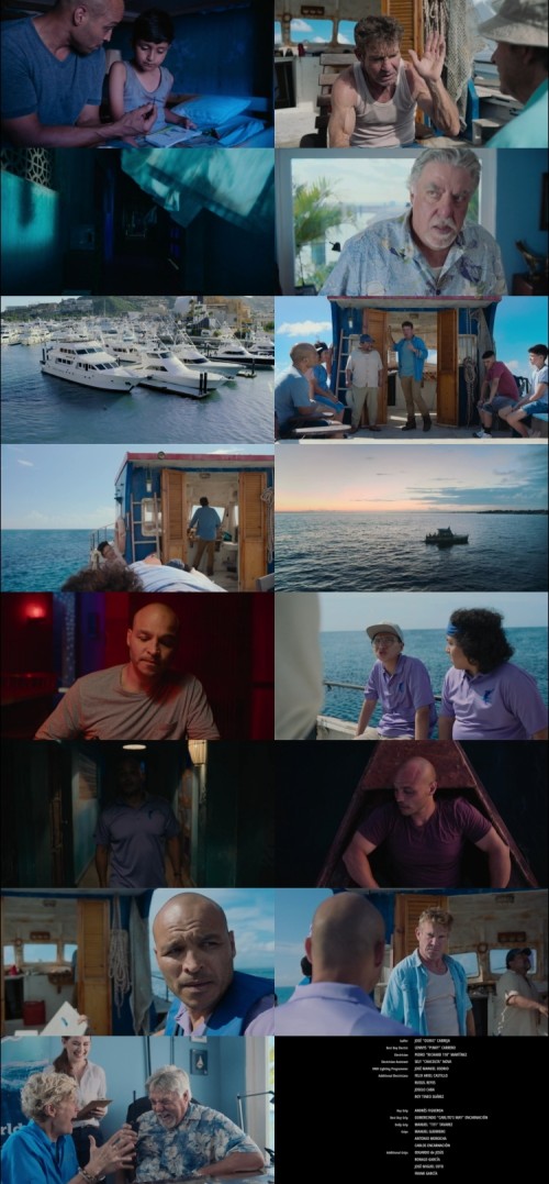 Blue.Miracle.2021.1080p.WEB-DL.Hindi.English.DD.5.1.x264.ESubs_s.jpg