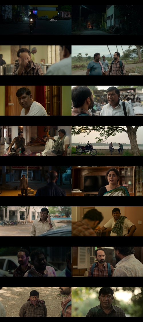 www.FiberMovies.com---UnTouch.Maareesan.2025.1080p.WEB.HDRip.Hindi.Multi.DD.5.1.x264.ESubs_s.jpg