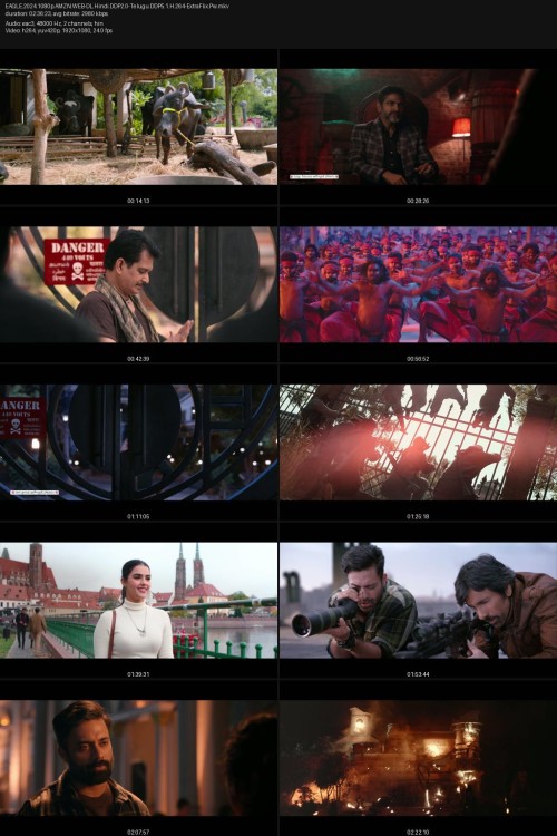 EAGLE.2024.1080p.AMZN.WEB-DL.Hindi.DDP2.0-Telugu.DDP5.1.H.264-ExtraFlix.Pw.jpg