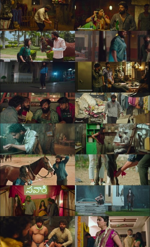 Savaari-2020-Hindi-Dual-Audio-www.ExtraFlix.pw-1080p-HDRip-x264-ESubs_s.jpg