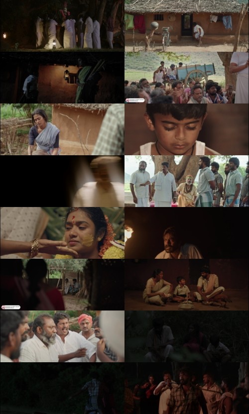 Sevappi-2024-Hindi-Dual-Audio-www.ExtraFlix.pw-1080p-HDRip-x264-ESubs-Untouched_s.jpg