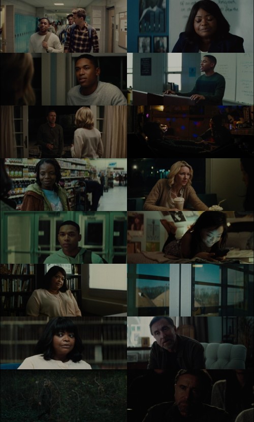 Luce.2019.1080p.Web.Dl.Hindi.DD5.1.x264.ESubs_s.jpg