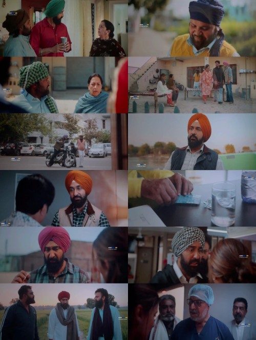 www.FiberMovies.com---Mehar.2025.1080p.HDTC.Punjabi.AAC2.0.x264_s.jpg