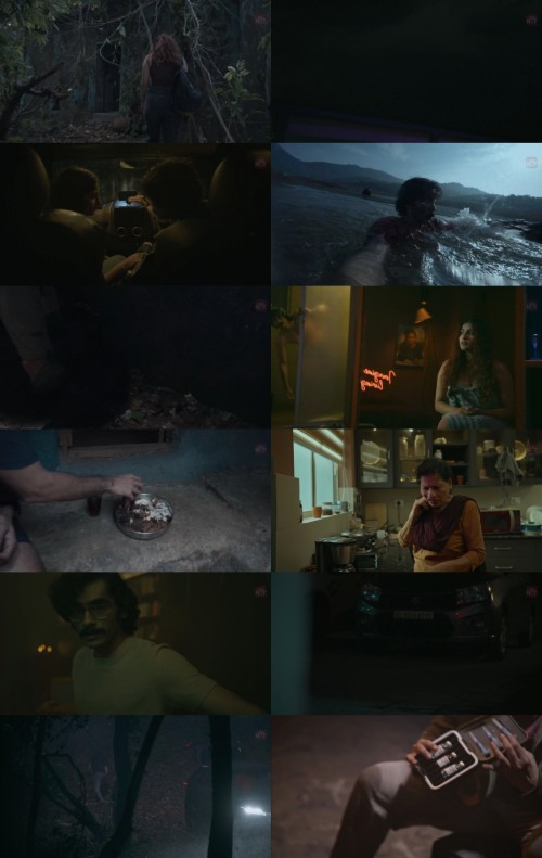 www.FiberMovies.com---Footage.2024.UnCUT.1080p.WEB-HDRip.Hindi.DD2.0-Malayalam.DDP2.0.x264.ESub_s.jpg