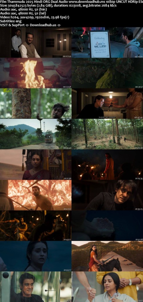 Thammudu-2025-Hindi-ORG-Dual-Audio-www.downloadhub.ms-1080p-UNCUT-HDRip-ESubs_s.jpg