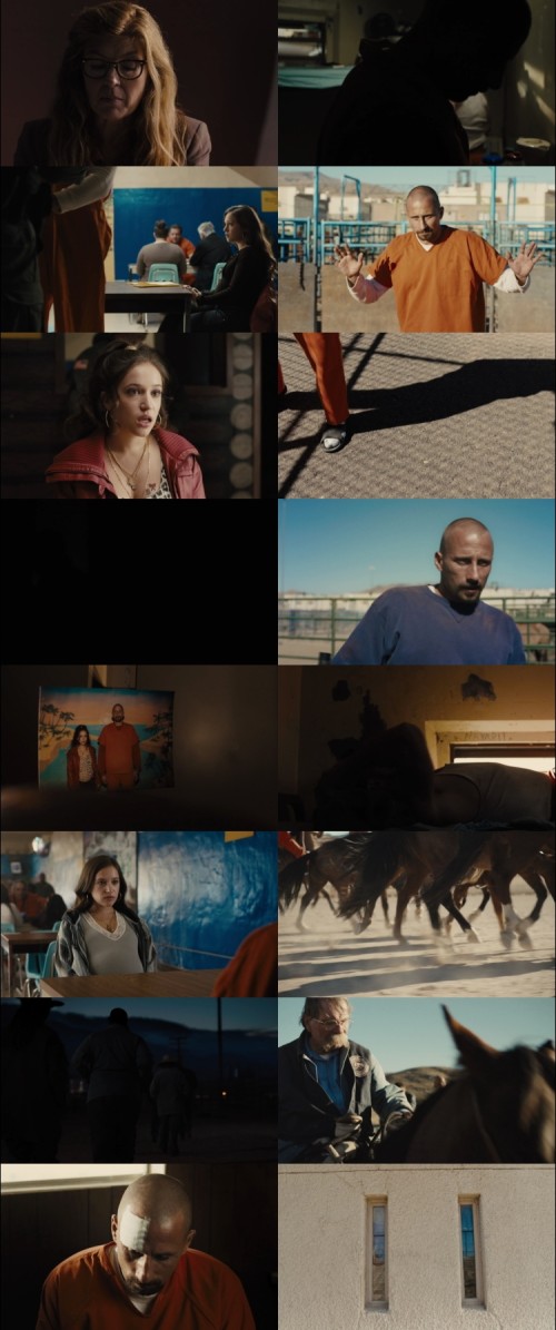 The.Mustang.2019.1080p.BluRay.Hindi.English.DD5.1.x264.ESubs_s.jpg