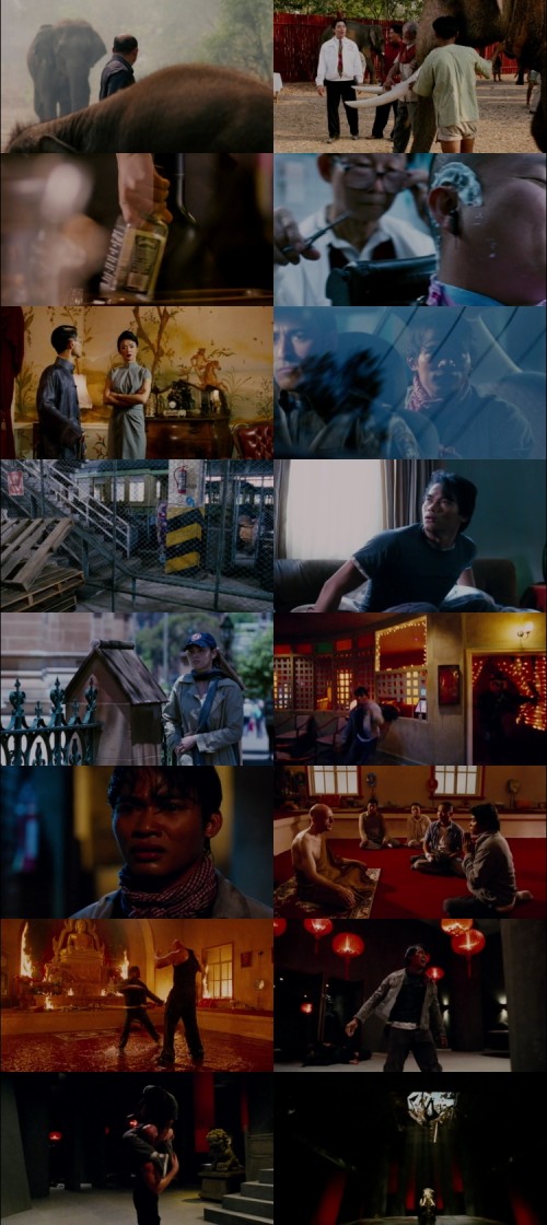 The.Protector.2005.1080p.BluRay.Hindi.Thai.DD2.0.x264.ESubs_s.jpg