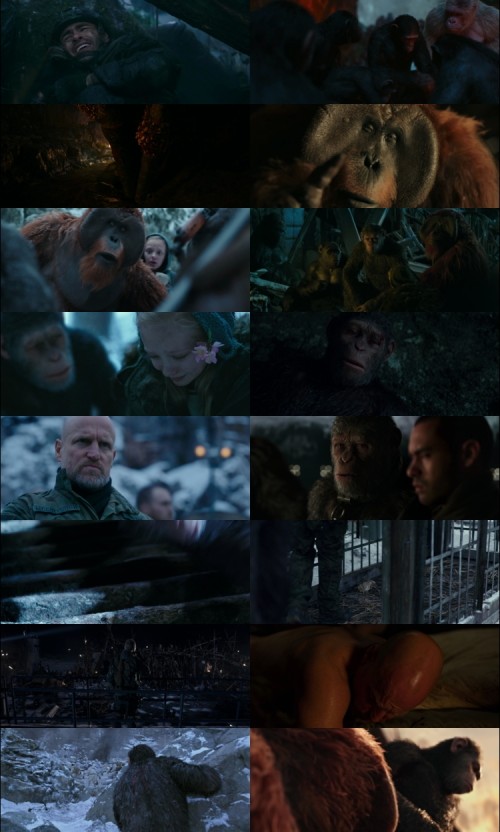 War.for.the.Planet.of.the.Apes.2017.1080p.BluRay.Hindi.English.DD5.1.x264.ESubs_s.jpg