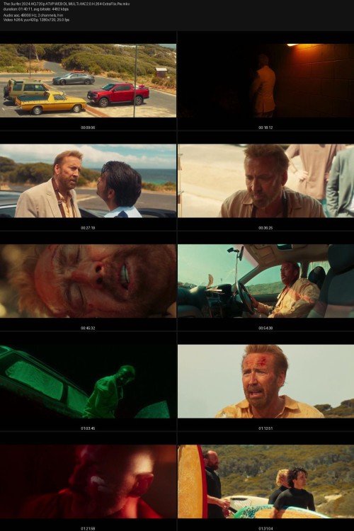 The.Surfer.2024.HQ.720p.ATVP.WEB-DL.MULTi.AAC2.0.H.264-ExtraFlix.Pw.jpg