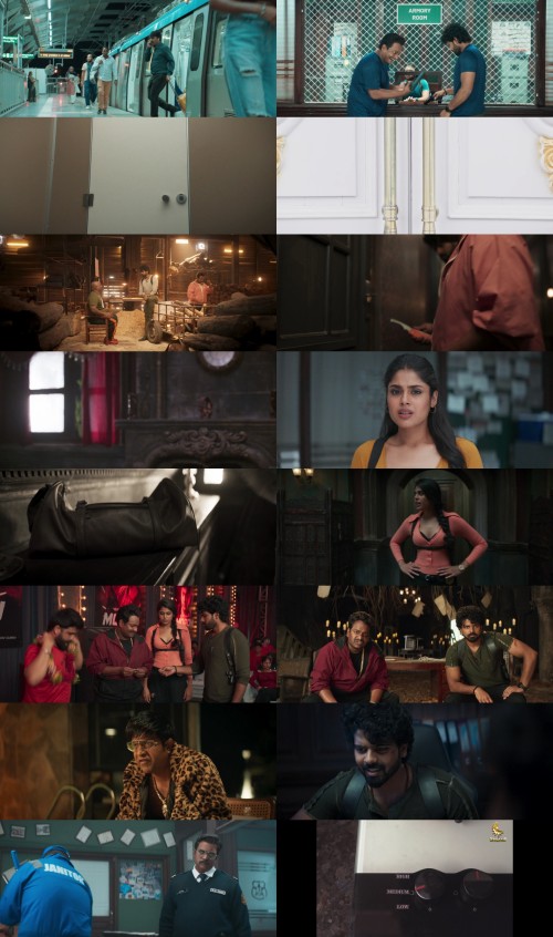 www.FiberMovies.com---Mathu.Vadalara.2.2024.UNCUT.1080p.WEB-DL.Hindi.DD2.0-Telugu.DDP2.0.x264.ESub_s.jpg