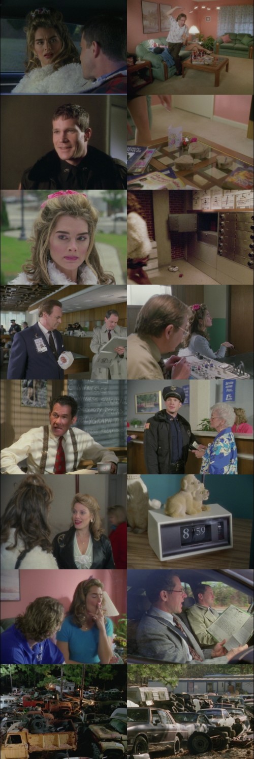 The.Almost.Perfect.Bank.Robbery.1997.1080p.Web-DL.Hindi.English.DD2.0.x264.ESubs.Untouch_s.jpg