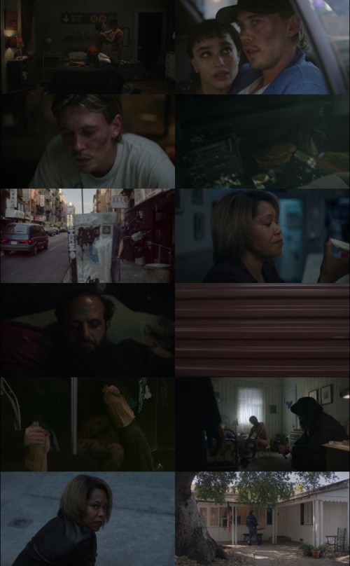 Caught.Stealing.2025.1080p.WEB-DL.English.AAC5.1.x264.ESub-All4Movies.com_s.jpg