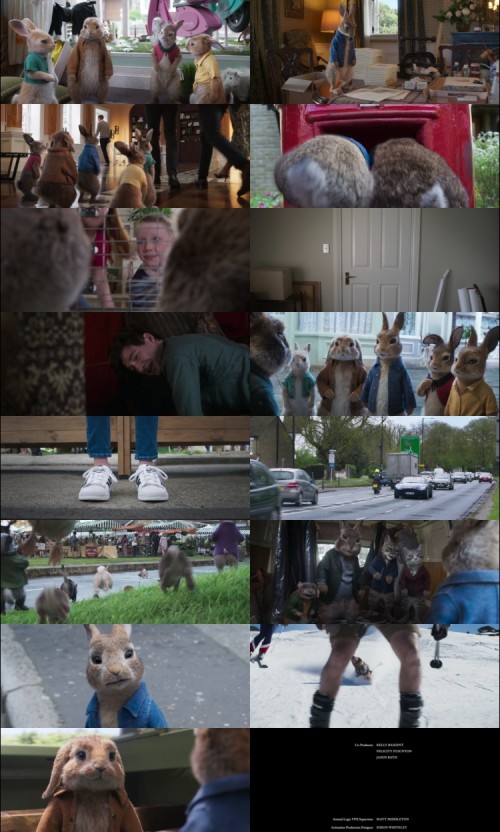 Peter.Rabbit.2.The.Runaway.2021.1080p.BluRay.Hindi.English.DD5.1.x264.ESubs_s.jpg