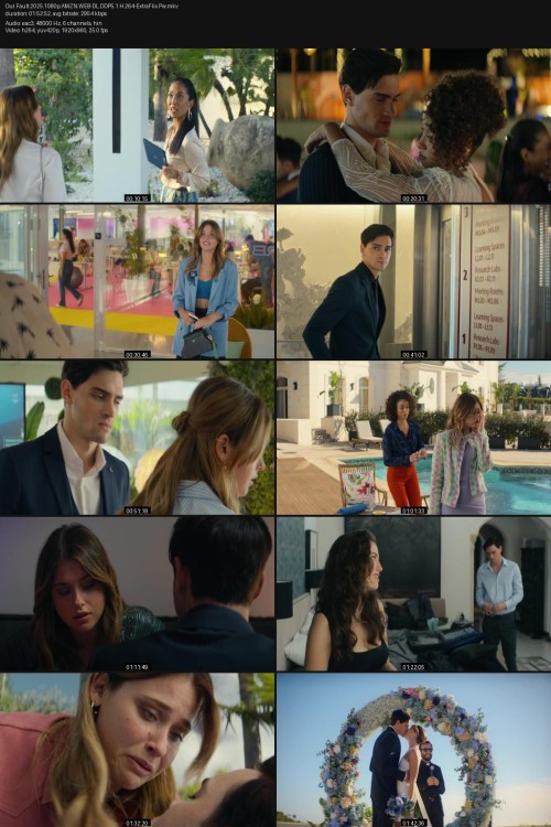 Our.Fault.2025.1080p.AMZN.WEB-DL.DDP5.1.H.264-ExtraFlix.Pw.jpg
