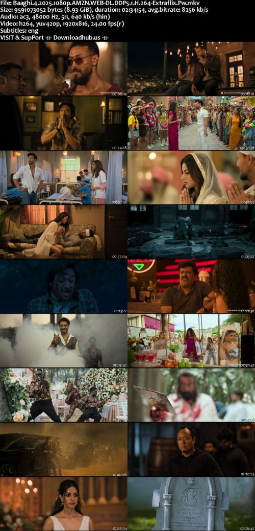 Baaghi.4.2025.1080p.AMZN.WEB-DL.DDP5.1.H.264-Extraflix.Pw_s.jpg
