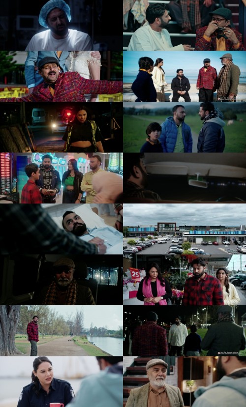 www.FiberMovies.com---Mr.Shudai.2024.1080p.WEB-HDRip.Punjabi.DDP2.0.x264.ESub_s.jpg