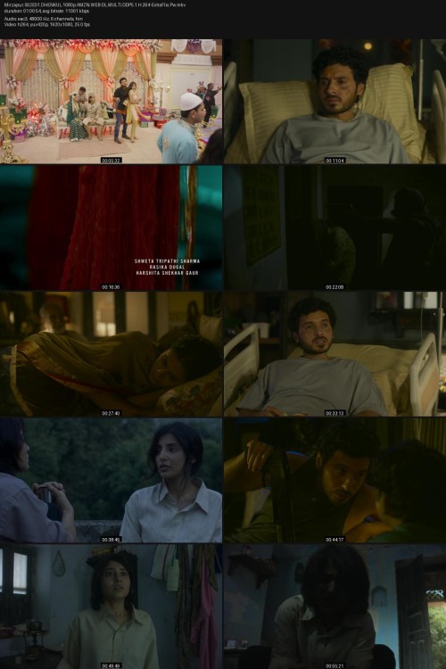 Mirzapur.S02E01.DHENKUL.1080p.AMZN.WEB-DL.MULTi.DDP5.1.H.264-ExtraFlix.Pw.jpg