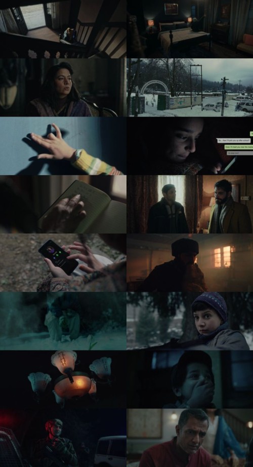 Baramulla-2025-Hindi-ORG-Dual-Audio-www.ExtraFlix.pw-1080p-Web-DL-x264-MSubs_s.jpg