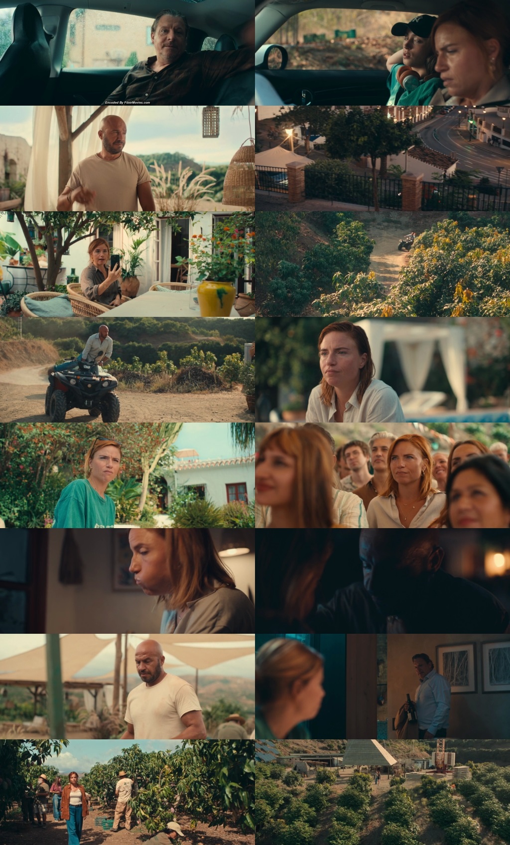 Mango (2025) 1080p | 720p | 480p WEB-HDRip [Hindi (ORG) + English (DD5.1)]