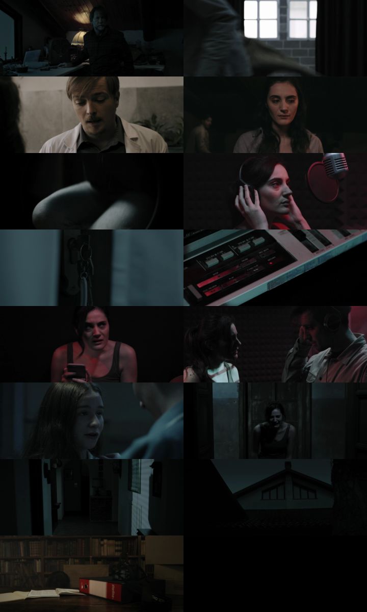 Sound of Silence 2023 Hindi ORG Dual Audio Movie DD5.1 1080p 720p 480p Web-DL x264 ESubs HEVC