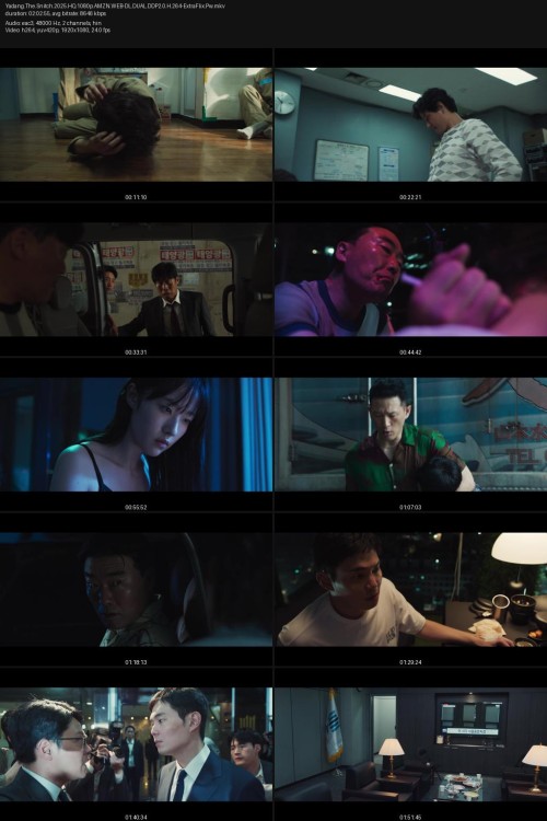 Yadang.The.Snitch.2025.HQ.1080p.AMZN.WEB-DL.DUAL.DDP2.0.H.264-ExtraFlix.Pw.jpg