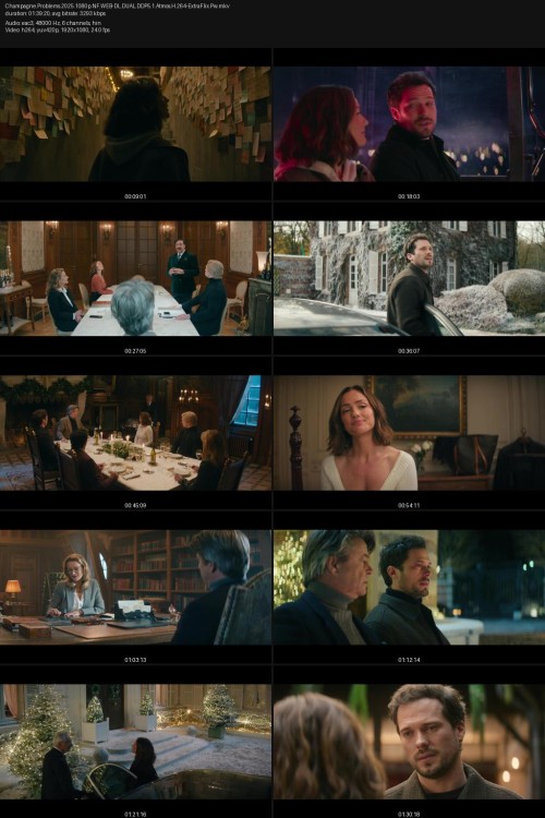 Champagne.Problems.2025.1080p.NF.WEB-DL.DUAL.DDP5.1.Atmos.H.264-ExtraFlix.Pw.jpg