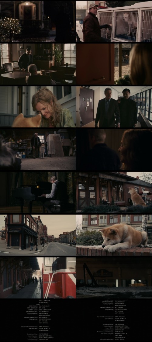 www.FiberMovies.com---UnTouch.Hachi.A.Dogs.Tale.2010.1080p.WEB-HDRip.Hindi.DDP2.0-English.DDP5.1.x264.ESub_s.jpg
