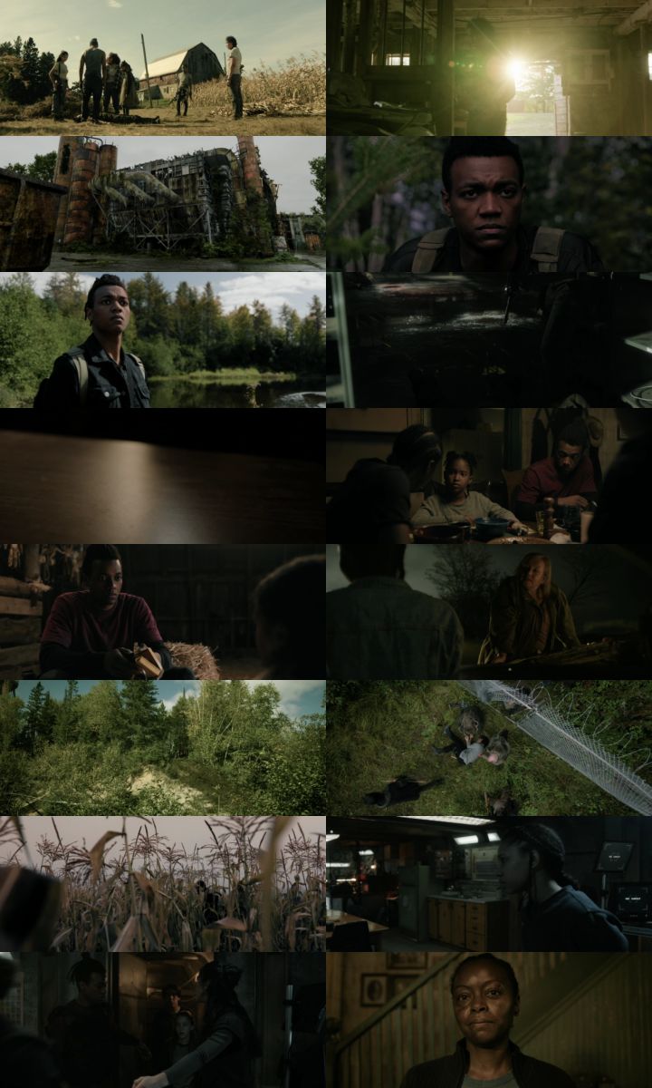 40 Acres 2025 Hindi ORG Dual Audio Movie DD5.1 1080p 720p 480p Web-DL x264 ESubs HEVC 40 Acres 2025 Hindi ORG Dual Audio Movie DD5.1 1080p 720p 480p Web-DL x264 ESubs HEVC