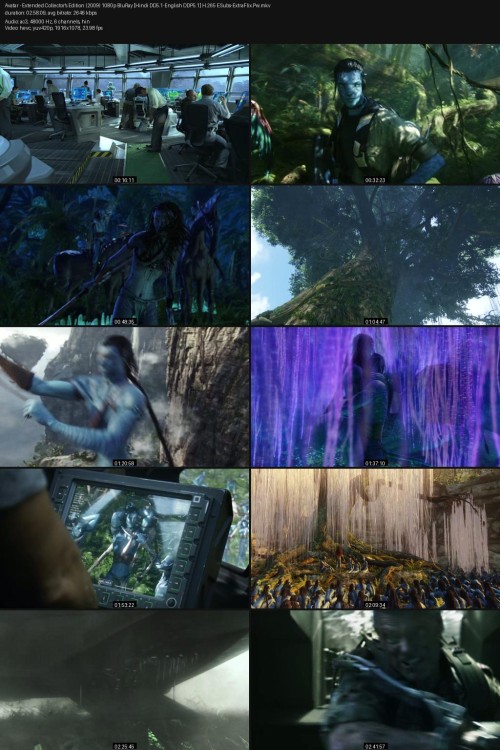 Avatar---Extended-Collectors-Edition-2009-1080p-BluRay-Hindi-DD5.1-English-DDP5.1-H.265-ESubs-ExtraFlix.Pw.jpg