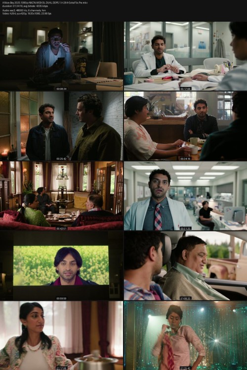 A.Nice.Boy.2025.1080p.AMZN.WEB-DL.DUAL.DDP5.1.H.264-ExtraFlix.Pw.jpg