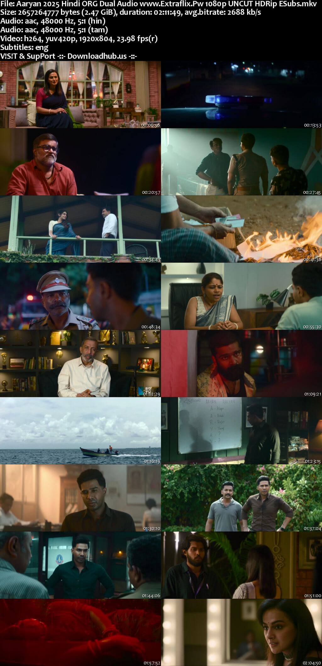 Aaryan 2025 Hindi ORG Dual Audio Movie DD5.1 4k 1080p 720p 480p UNCUT HDRip ESubs x264 HEVC