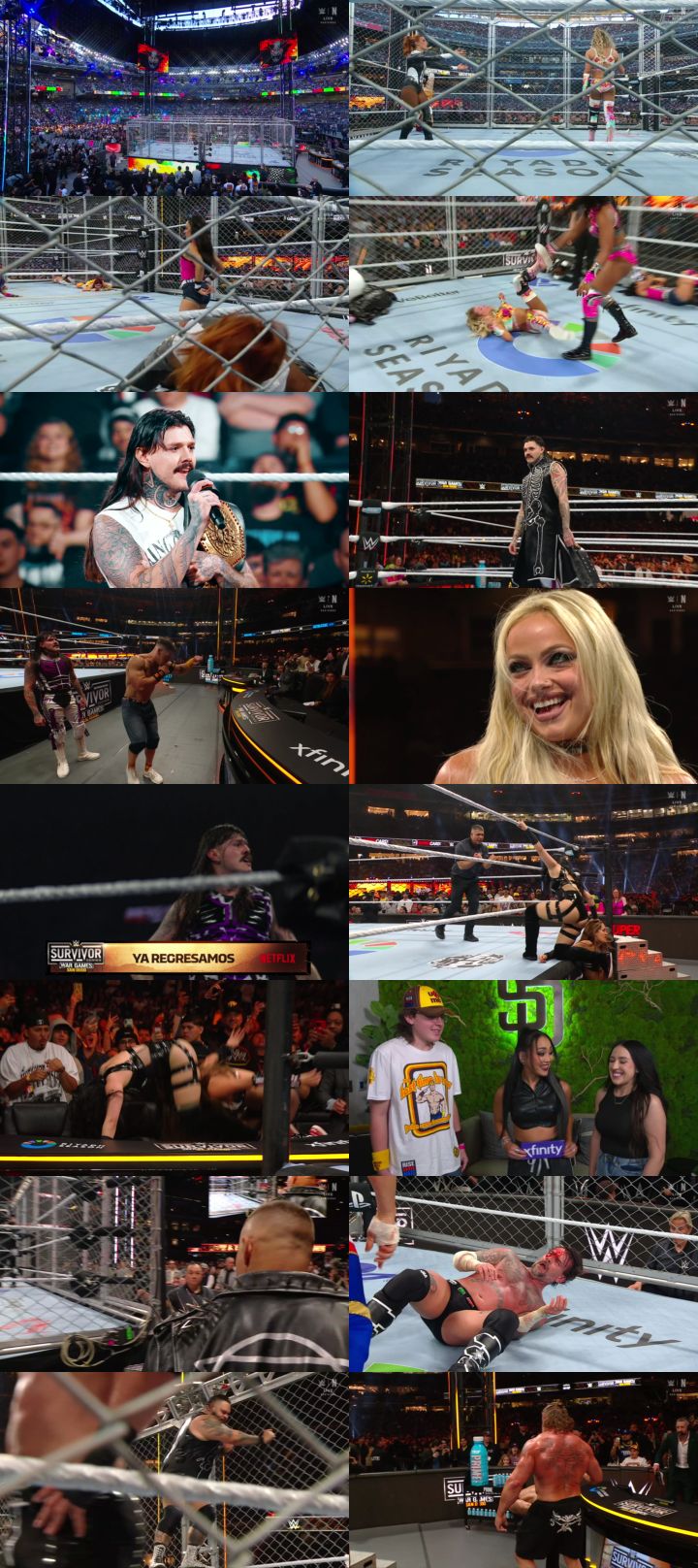 WWE Survivor Series Wargames 29th November 2025 [Hindi DD2.0 - English] PPV 1080p 720p 480p WEBRip x264