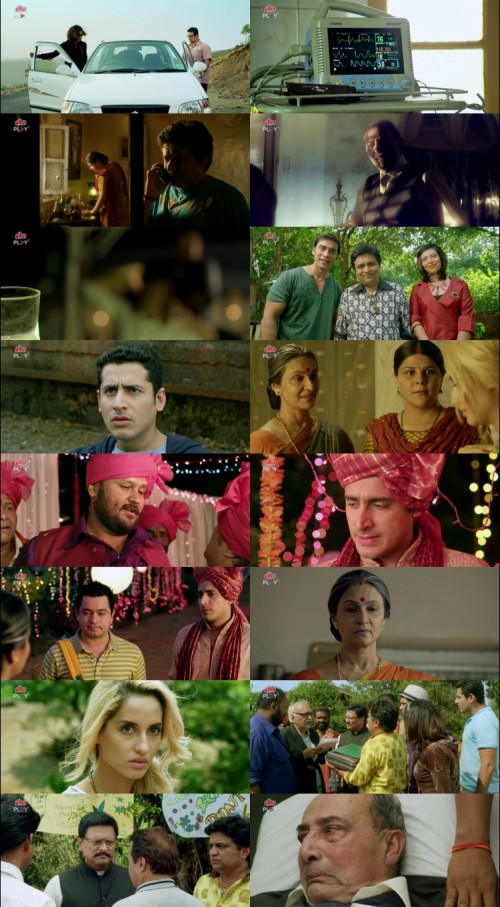 Crazy.Cukkad.Family.2015.1080p.Web-DL.Hindi.DD2.0.x264.ESubs_s.jpg