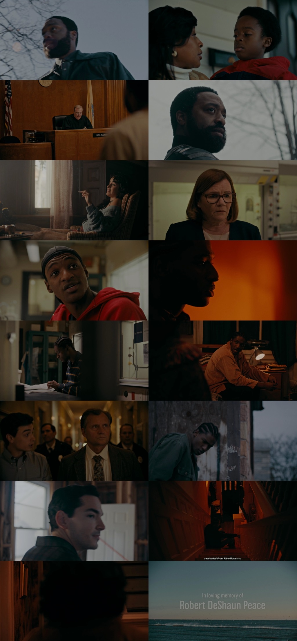 Rob Peace (2024) 4K | 1080p | 720p | 480p WEB-HDRip [Hindi + English (DD5.1)]