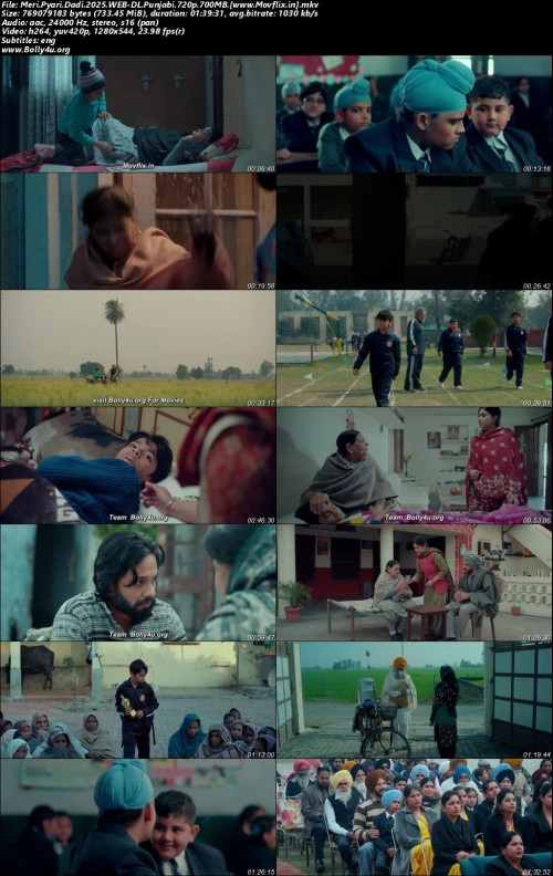 Meri.Pyari.Dadi.2025.WEB-DL.Punjabi.720p.700MB.www.Movflix.in.jpg