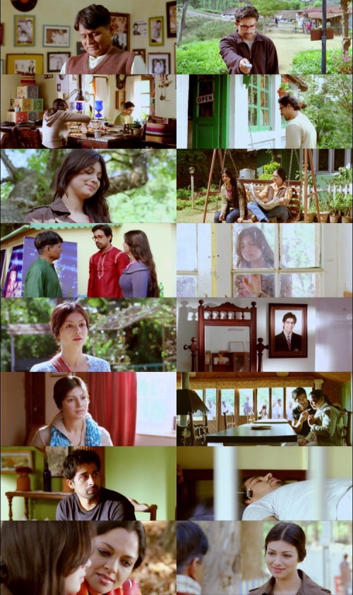Mod.2011.1080p.Web-DL.Hindi.DD2.0.x264.ESubs_s.jpg