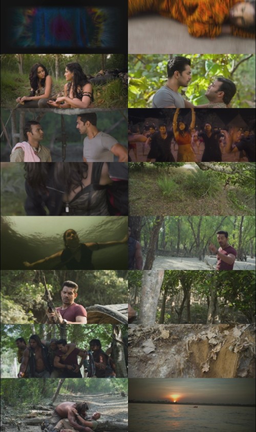 Roar.2014.1080p.Web-DL.Hindi.DD2.0.x264.ESubs_s.jpg